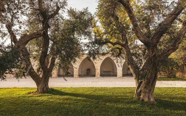 Masseria Altemura cata de acite