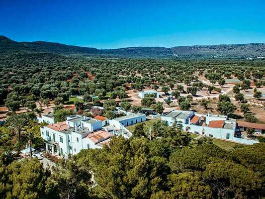 Masseria il Frantoio cata de aceite