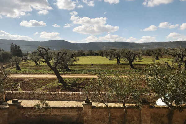 Masseria Salamina cata de aceite