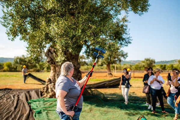 masseria salamina