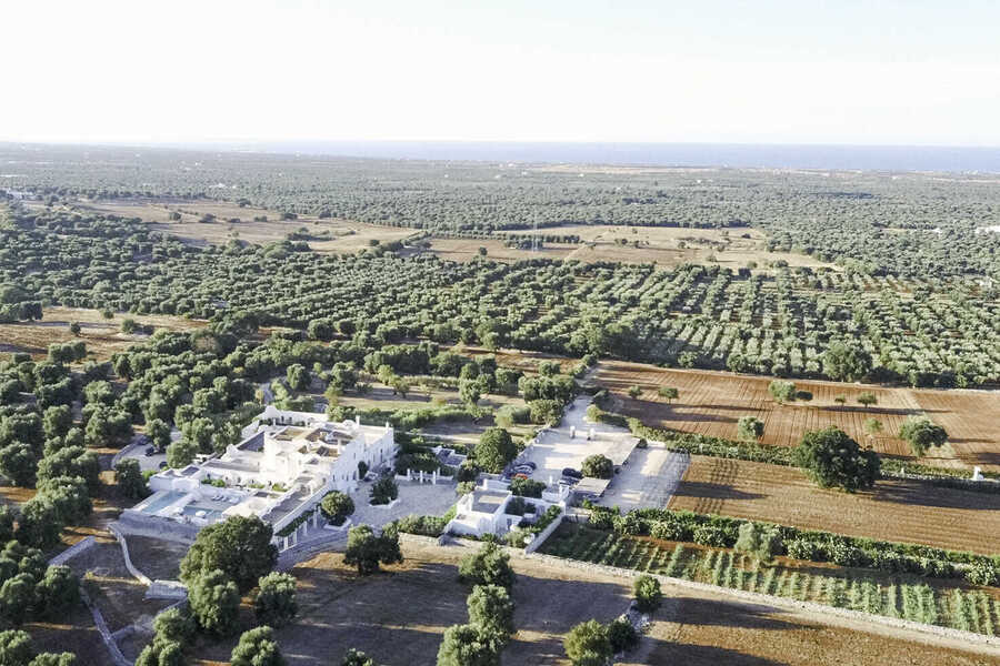 Hochzeit in der Masseria Le Carrube